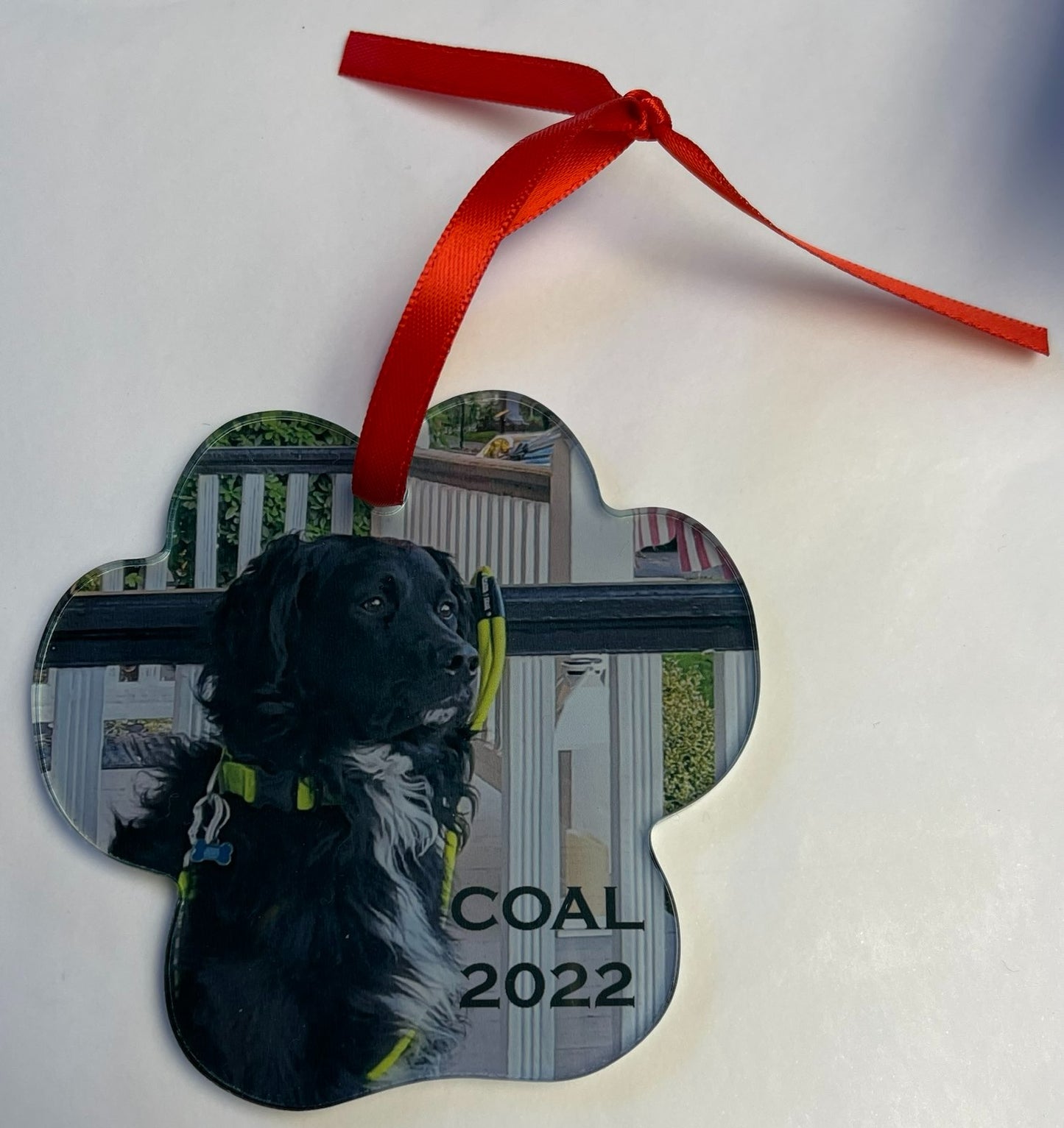 Customizable Pet Holiday Ornament