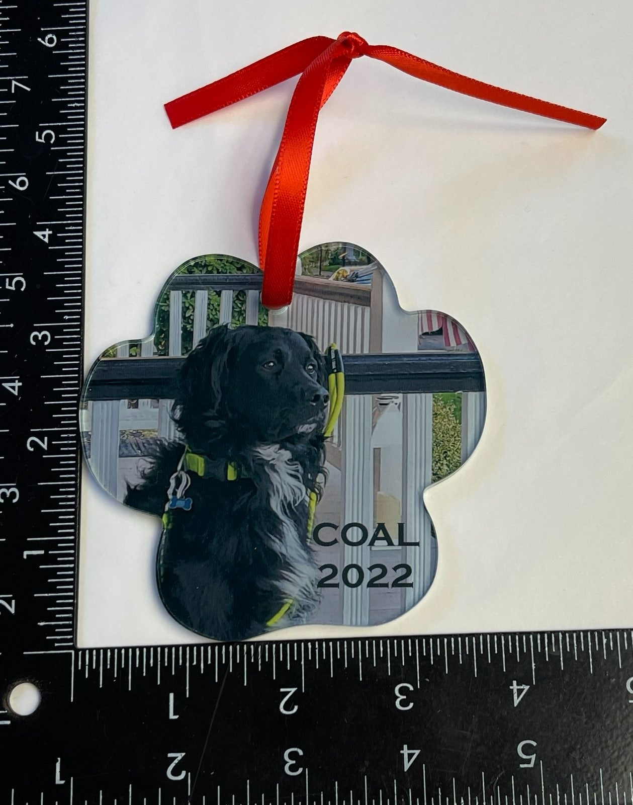 Customizable Pet Holiday Ornament